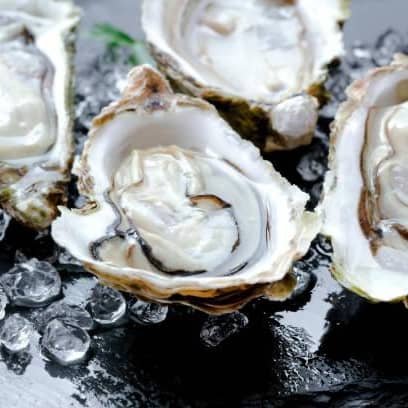 1 x 6pc Oyster Set + 1 x Drink at That Good Bar - Get Deals, Cashback and Rewards with ShopBack GO