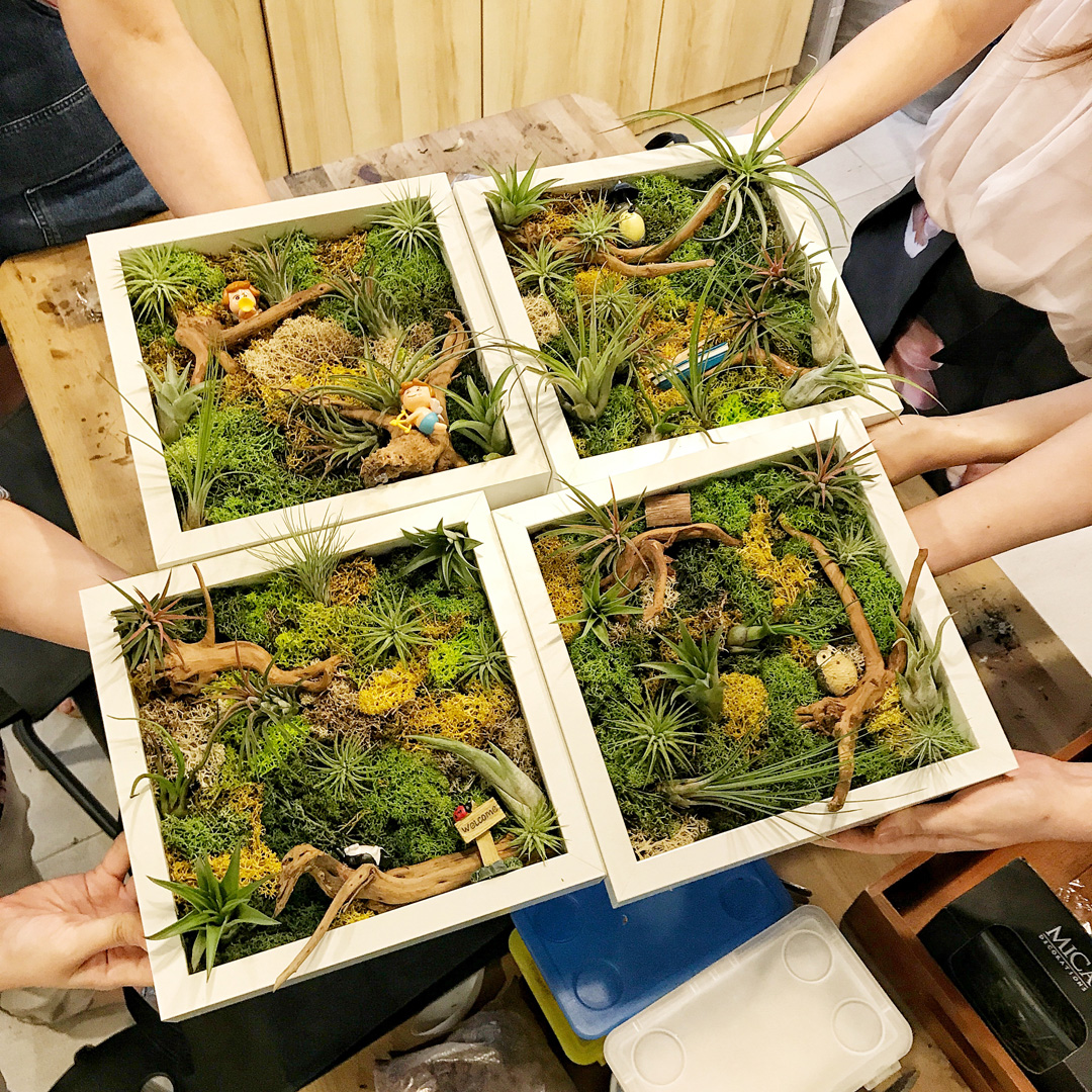 1 Hour Airplant Greenwall Workshop (1 Pax) at The Green Capsule - Get Deals, Cashback and Rewards with ShopBack GO