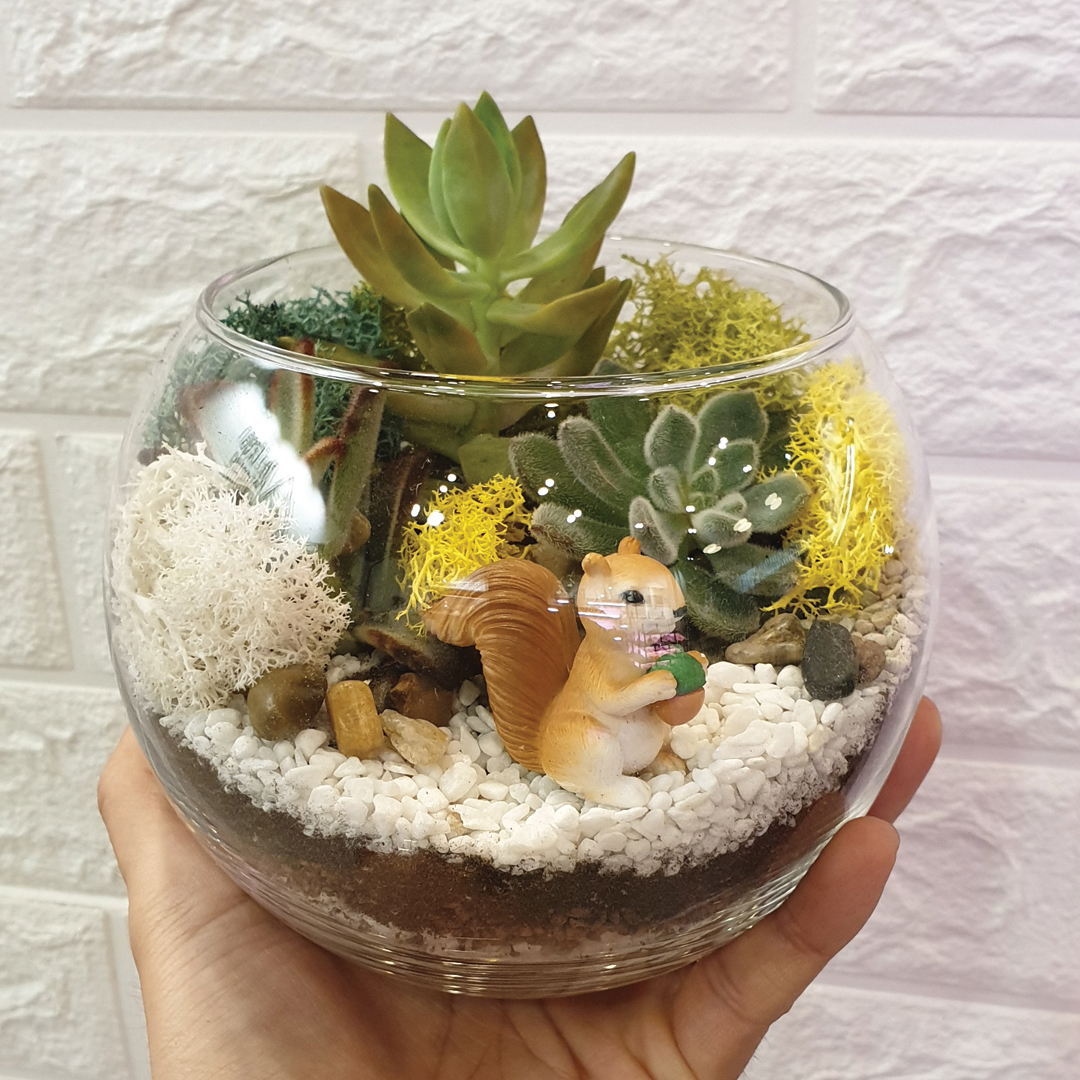 1 Hour Open Succulent Terrarium Workshop (1 Pax) at The Green Capsule - Get Deals, Cashback and Rewards with ShopBack GO