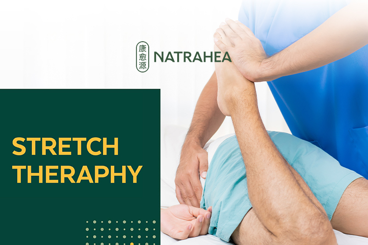 Stretch Therapy for 1 person (1 session)