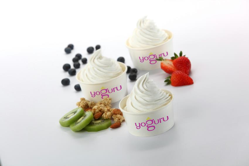 1 x Medium Signature Yogurt (with Any 2 Toppings) [Limited Stock]