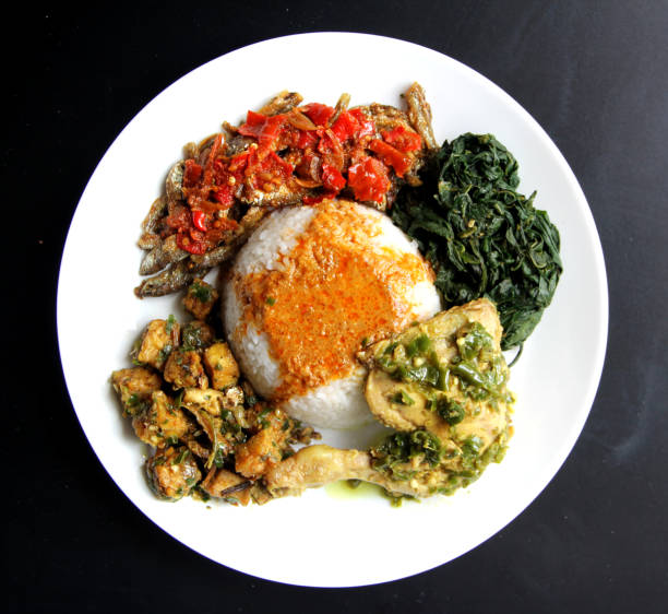 Food Republic Sindo Nasi Padang (Breadtalk IHQ) Deals & Promotion