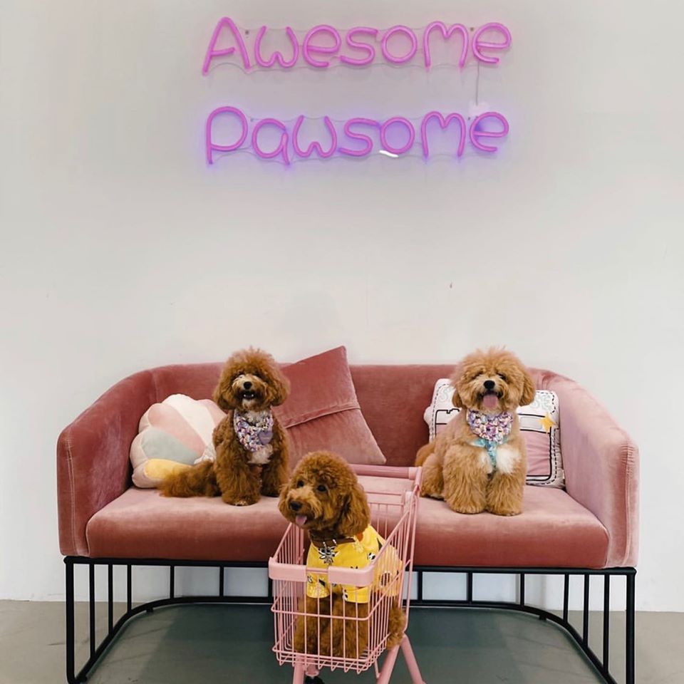 Wooftopia Pet Cafe (The Grandstand) Menu, Deals & Promotion 2023 ShopBack