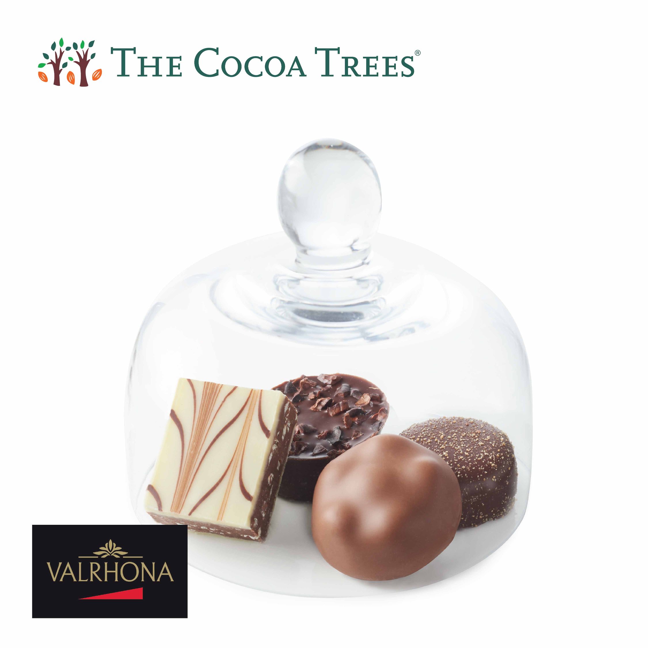 The Cocoa Trees (Jurong Point) - Dine, Shop, Earn