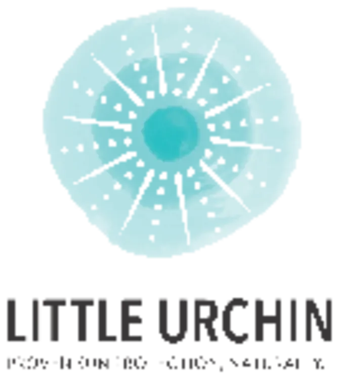 Little Urchin