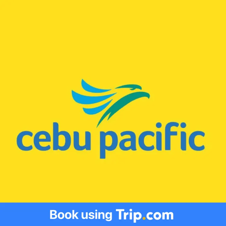 Shopback Cebu Pacific