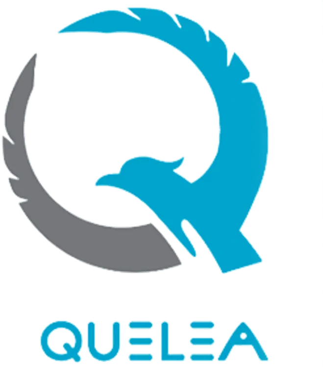 QUELEA 心到位冥想殿