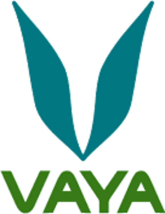 vaya