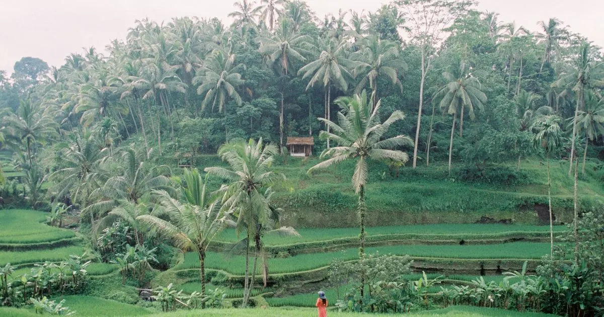 How Much Does a Trip to Bali Cost from Australia? (2026 Family Budget Breakdown)
