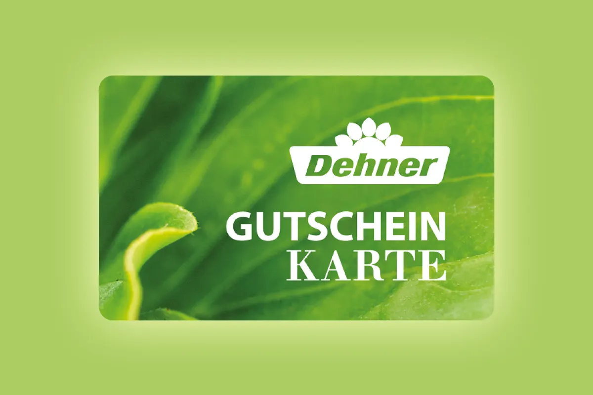 voucher-image