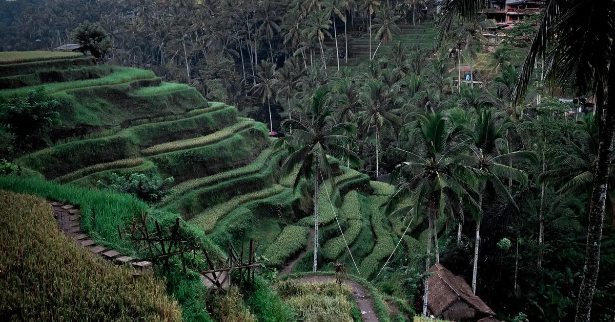 Planning a Bali trip from Singapore: Seminyak villa, Ubud rice terraces, Uluwatu cliffs at sunset