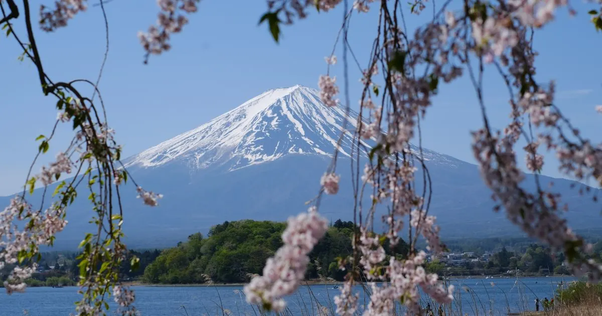 Planning a Japan trip from Singapore: Tokyo skyline, Kyoto temples, Mt Fuji in autumn