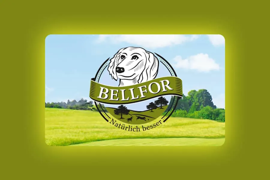 static content image