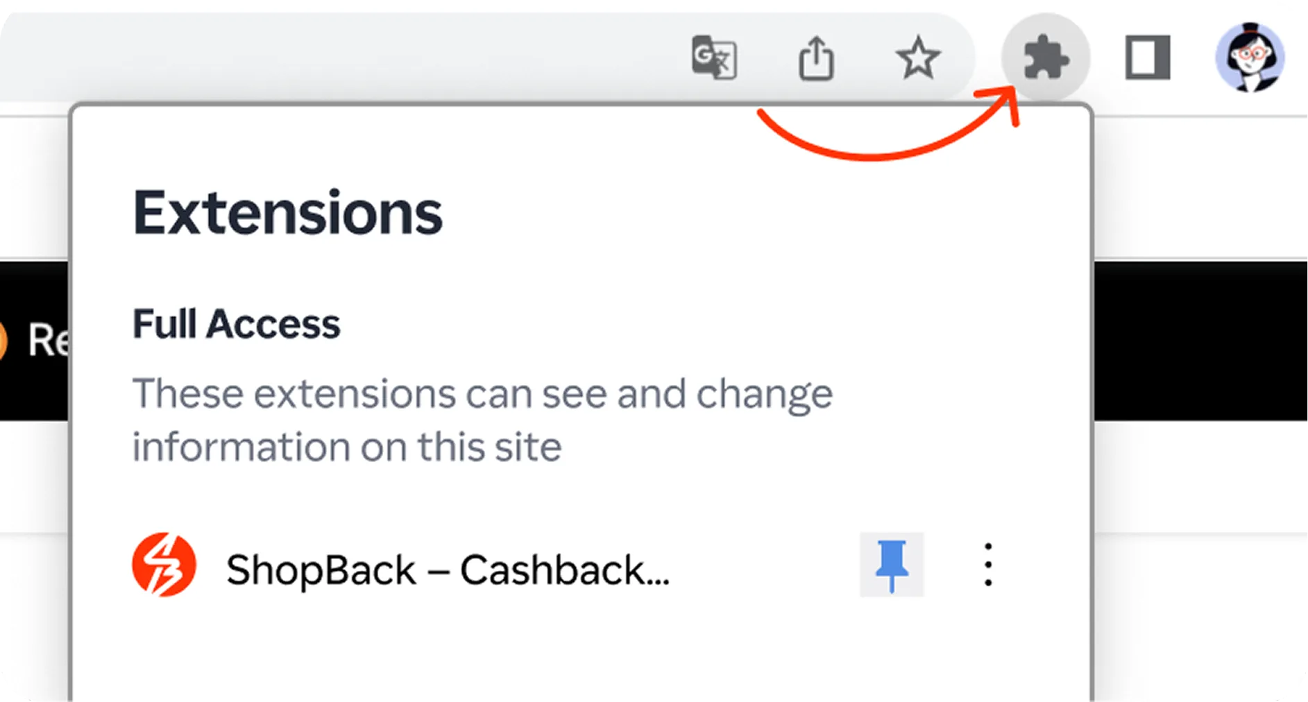 Pin to your browser