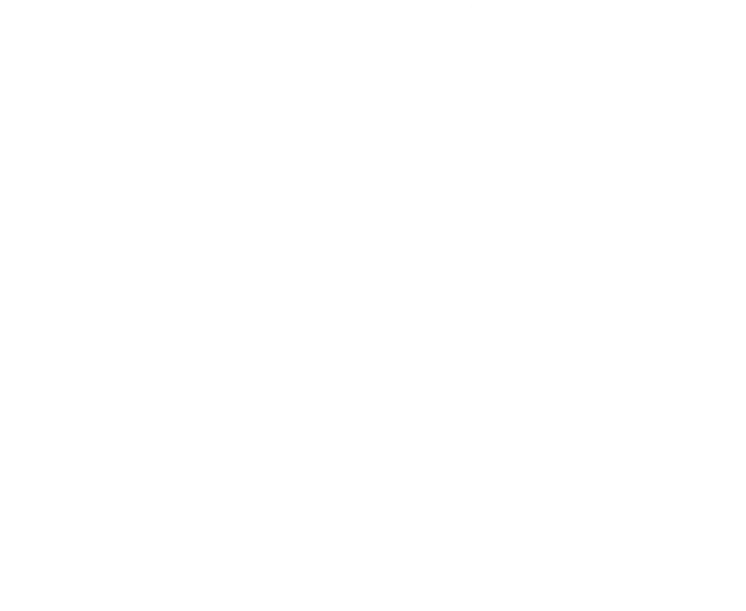 ShopBack Logo Background