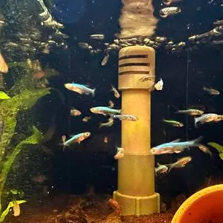 Iven Betta hero banner