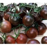 Bibit Bunga Bibit Benih Seeds Blackcherry Tomat Sayur Unik Hitam
