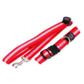 Lt365 LT365 LED Flashing Nylon Dog Collar & Leash Red