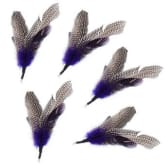 UJS Pet 5 REFILLS for Da Bird feather Wand Cat Toy Kitten Interactive Toys 8.7”