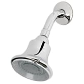 Estora 65-90000 Shower Head, Chrome