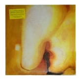 Unbranded Pisces Iscariot by The Smashing Pumpkins Vinyl LP