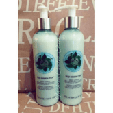 Body Shop - Body Lotion Green Tea 250ml