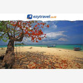 BELITUNG HOLIDAY PACKAGE BONUS MIE BELITUNG + JERUK KONCI DAN SNORKLING SET 3D2N