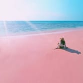 Al Karim Tour & Travel : Open Trip Gili and Lombok Tour Package