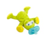 Bright Starts Brightstarts Cozy Coos Frog